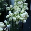 2009 02 17 028.JPG